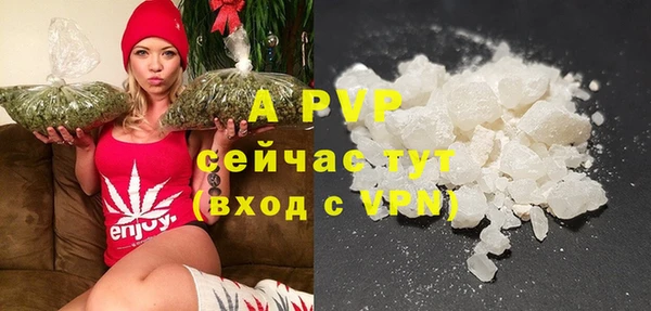 apvp Верея